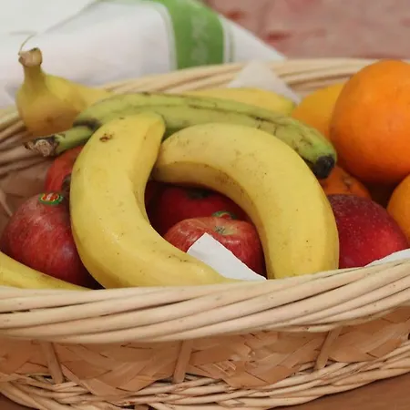 招待所 瑞沃特图宾馆 3*