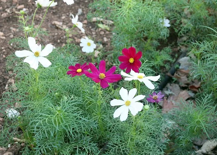 Rivotorto Retreat House 비르키르카라