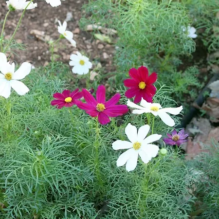 リヴォトルト リトリート ハウス ビルキルカラ