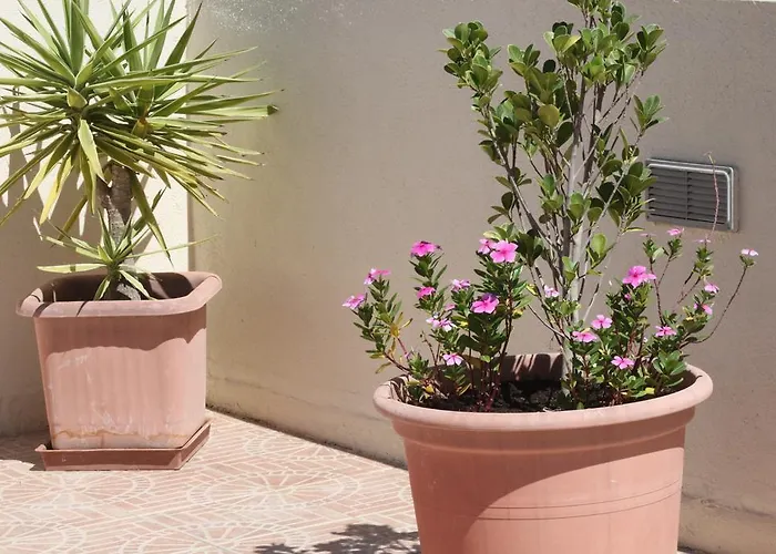 Affittacamere Rivotorto Retreat House Birkirkara